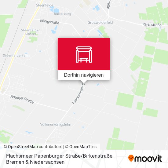 Flachsmeer Papenburger Straße / Birkenstraße Karte