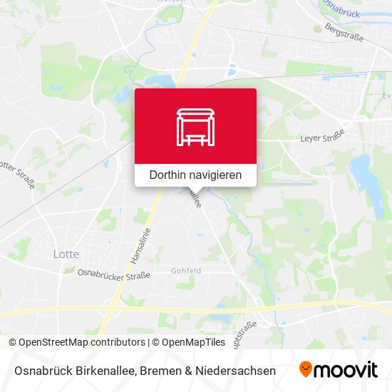 Osnabrück Birkenallee Karte