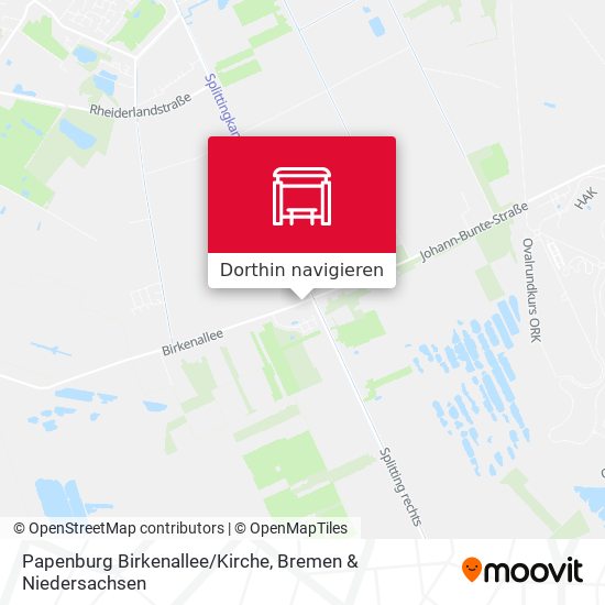 Papenburg Birkenallee/Kirche Karte