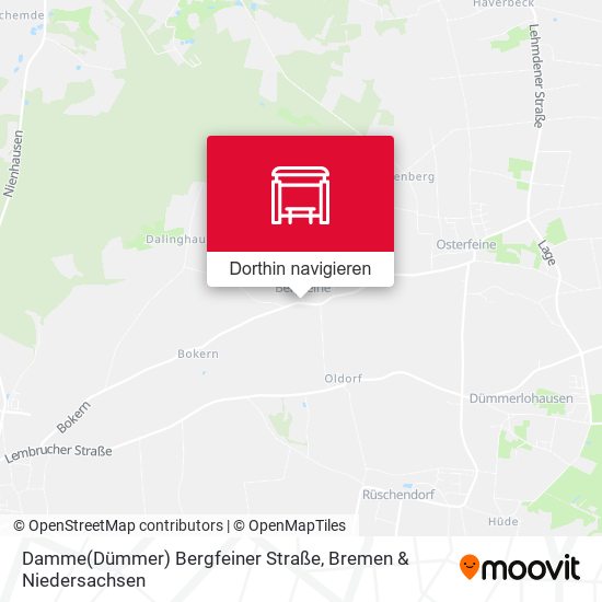 Damme(Dümmer) Bergfeiner Straße Karte
