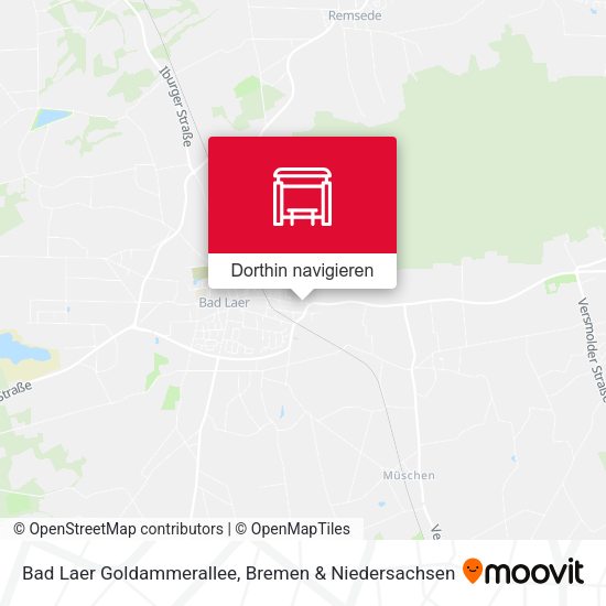 Bad Laer Goldammerallee Karte