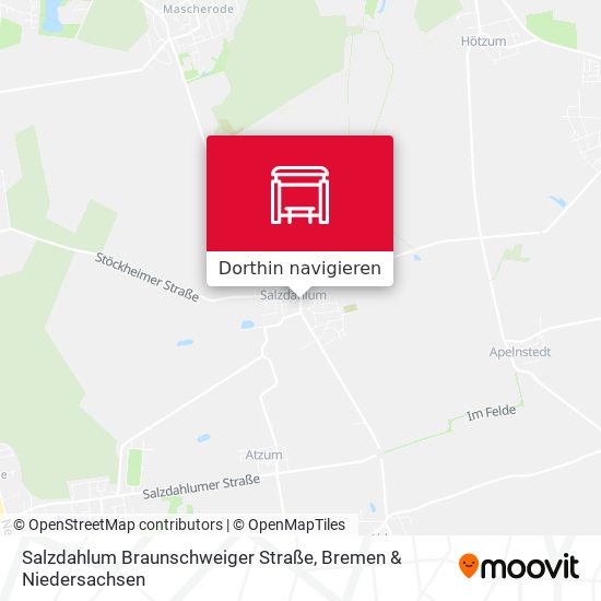 Salzdahlum Braunschweiger Straße Karte