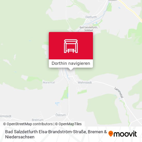 Bad Salzdetfurth Elsa-Brandström-Straße Karte