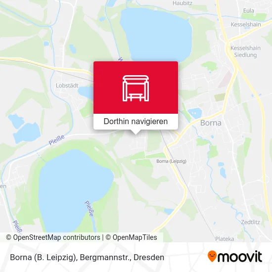 Borna (B. Leipzig), Bergmannstr. Karte