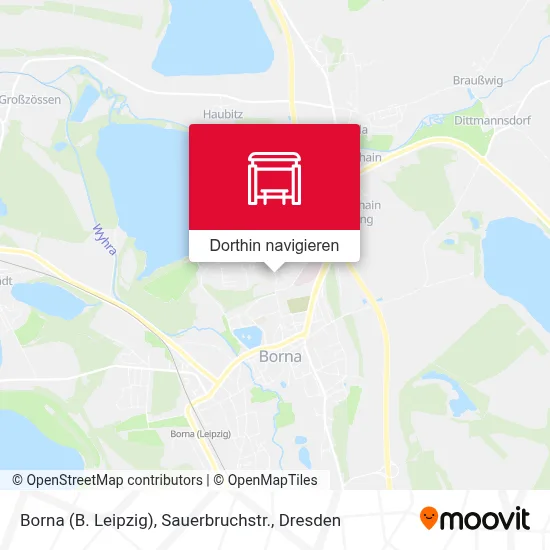 Borna (B. Leipzig), Sauerbruchstr. Karte