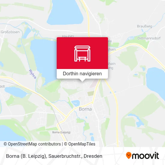 Borna (B. Leipzig), Sauerbruchstr. Karte