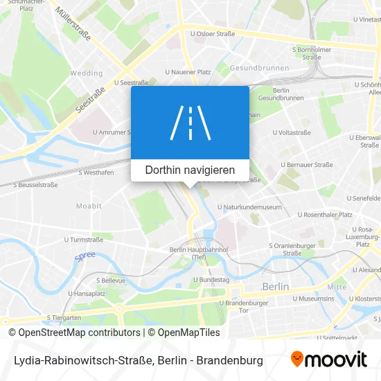 Lydia-Rabinowitsch-Straße Karte