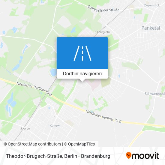 Theodor-Brugsch-Straße Karte