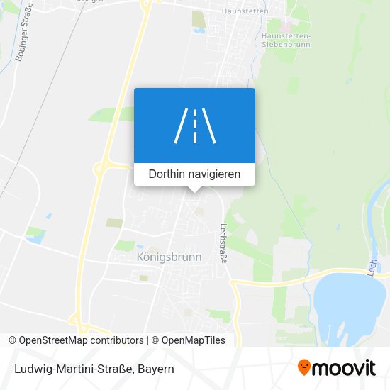 Ludwig-Martini-Straße Karte