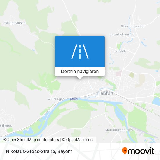 Nikolaus-Gross-Straße Karte