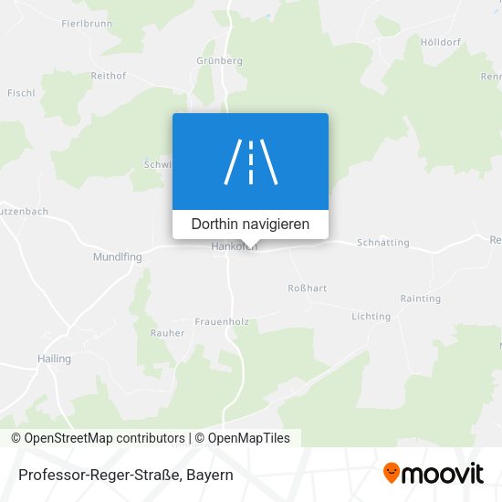 Professor-Reger-Straße Karte