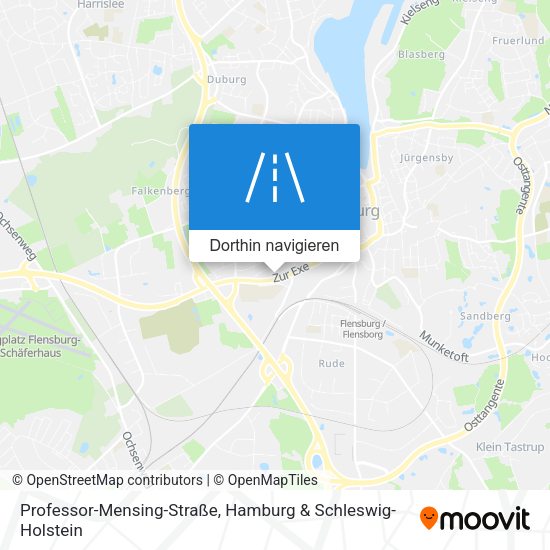 Professor-Mensing-Straße Karte