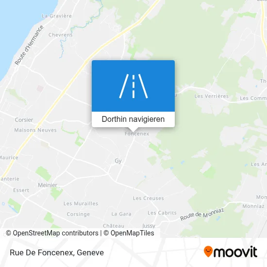 Rue De Foncenex Karte