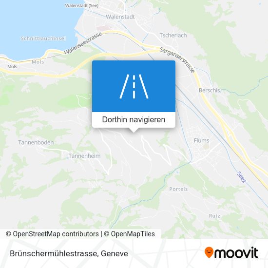 Brünschermühlestrasse Karte