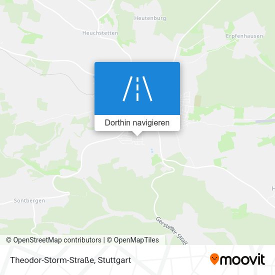 Theodor-Storm-Straße Karte