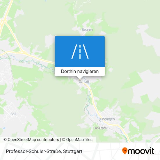 Professor-Schuler-Straße Karte