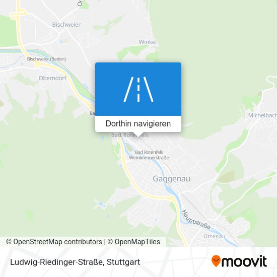 Ludwig-Riedinger-Straße Karte