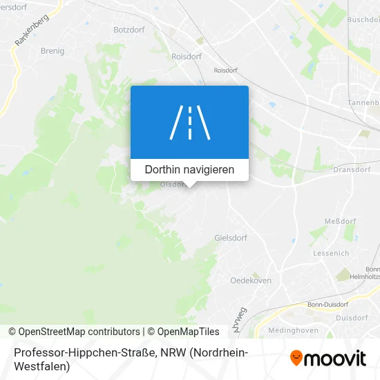 Professor-Hippchen-Straße Karte