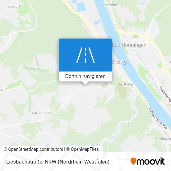 Liesbachstraße Karte