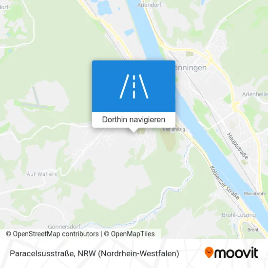 Paracelsusstraße Karte