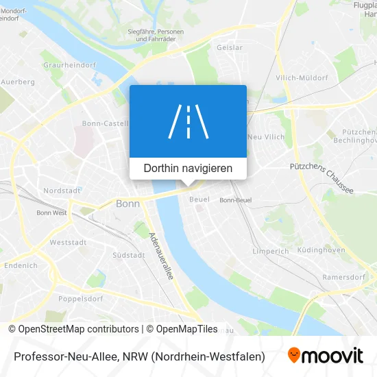 Professor-Neu-Allee Karte