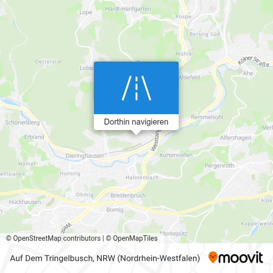 Auf Dem Tringelbusch Karte