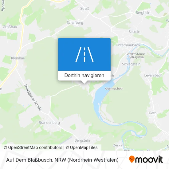 Auf Dem Blaßbusch Karte