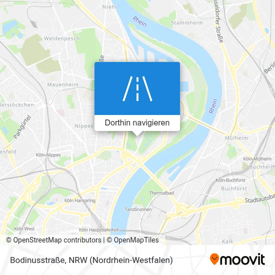 Bodinusstraße Karte