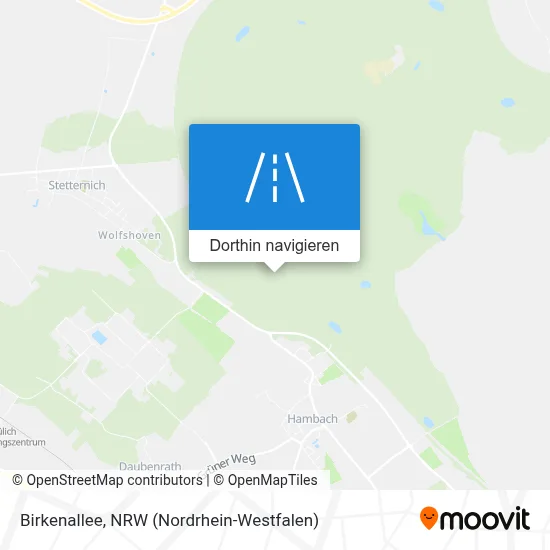 Birkenallee Karte