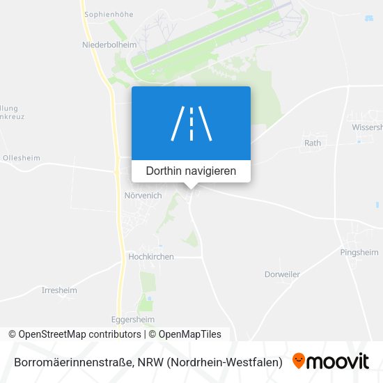 Borromäerinnenstraße Karte