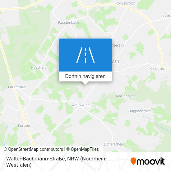 Walter-Bachmann-Straße Karte