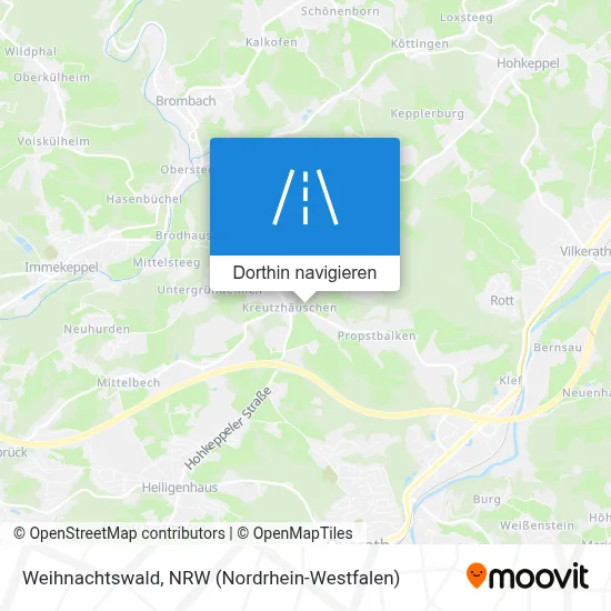 Weihnachtswald Karte