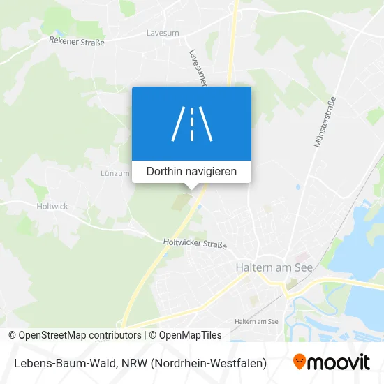 Lebens-Baum-Wald Karte