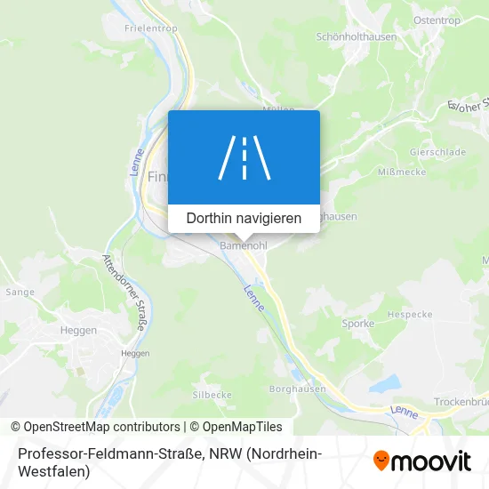 Professor-Feldmann-Straße Karte