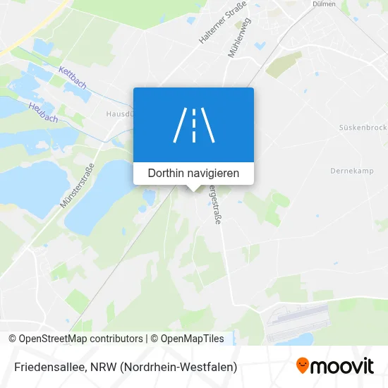 Friedensallee Karte