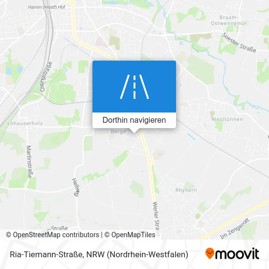 Ria-Tiemann-Straße Karte