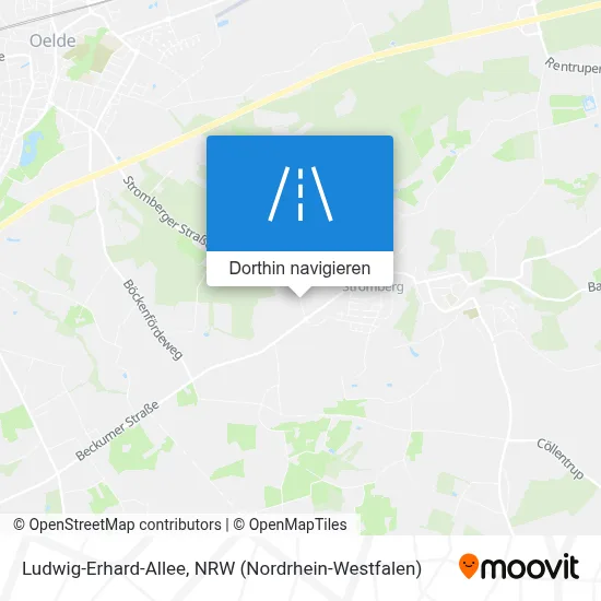 Ludwig-Erhard-Allee Karte