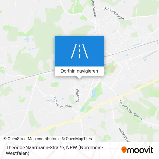Theodor-Naarmann-Straße Karte