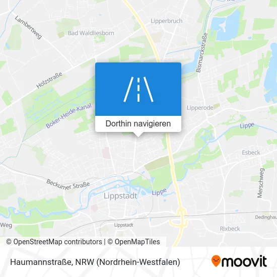 Haumannstraße Karte