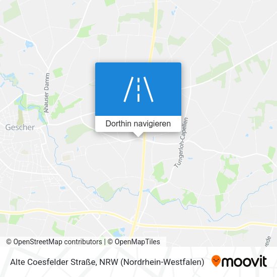 Alte Coesfelder Straße Karte
