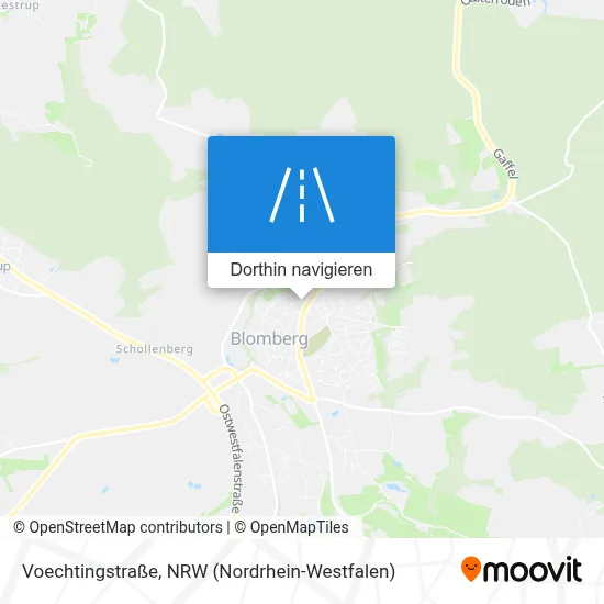 Voechtingstraße Karte