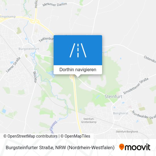 Burgsteinfurter Straße Karte