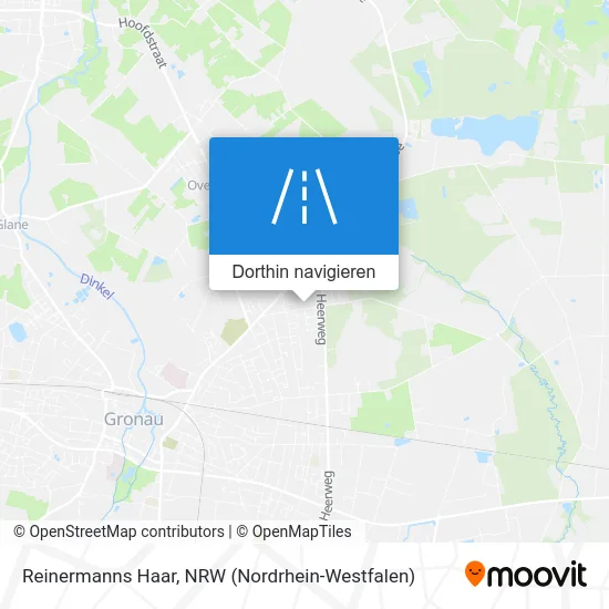 Reinermanns Haar Karte