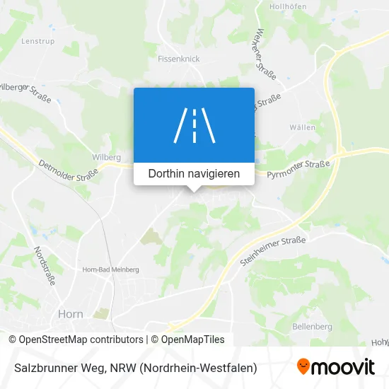 Salzbrunner Weg Karte