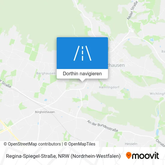 Regina-Spiegel-Straße Karte