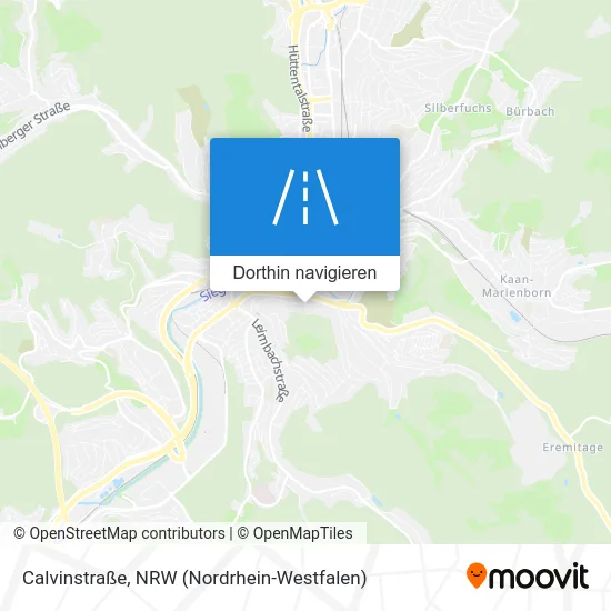 Calvinstraße Karte