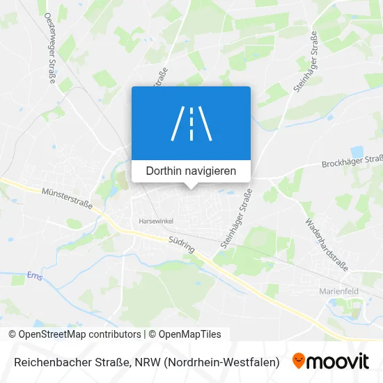 Reichenbacher Straße Karte