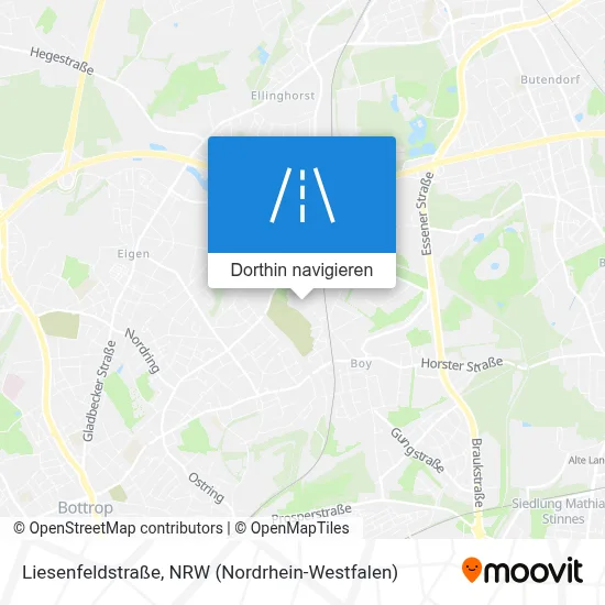 Liesenfeldstraße Karte