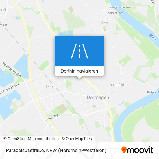 Paracelsusstraße Karte