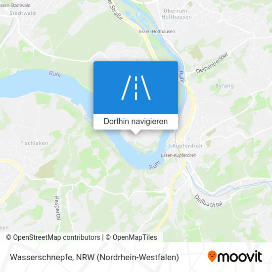 Wasserschnepfe Karte